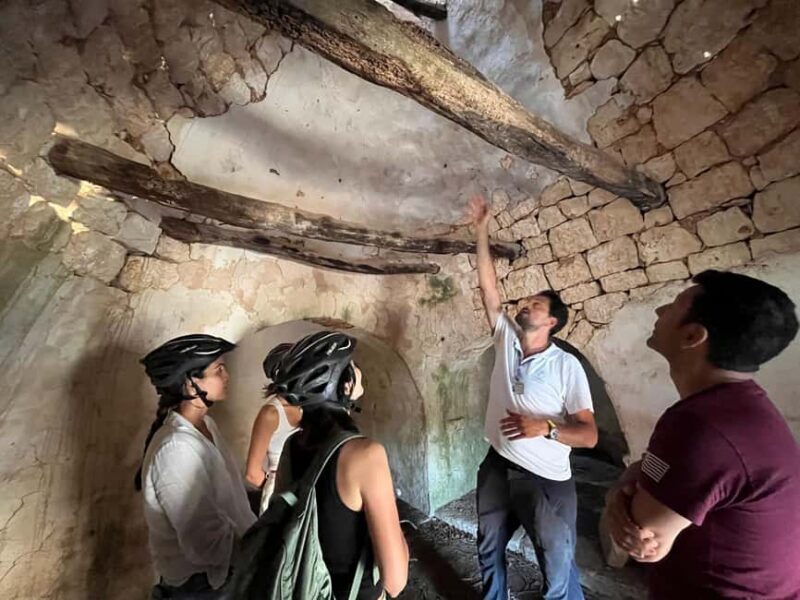 Alberobello e-bike tour with visit to a donkey farm - Who Should Consider This Tour?