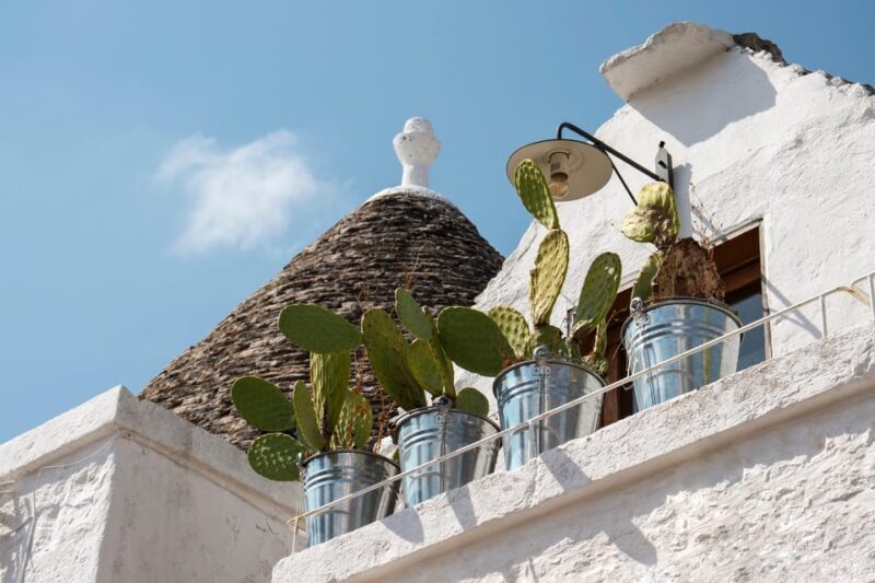 Alberobello: Private or Group 2-hour Walking Tour - Practical Considerations and Tips