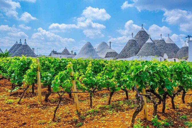 Alberobello Private Tour: Wine, Food, Trulli & Flavors of Puglia - Who Should Consider This Tour?