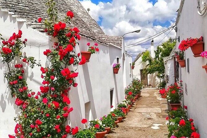 Alberobello Private Tour: Wine, Food, Trulli & Flavors of Puglia - FAQ