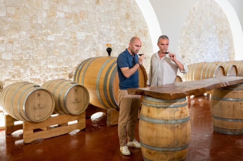 Alberobello: Winery Tour with Wine and Food Tasting - The Experience Itself: Breakdown and Details