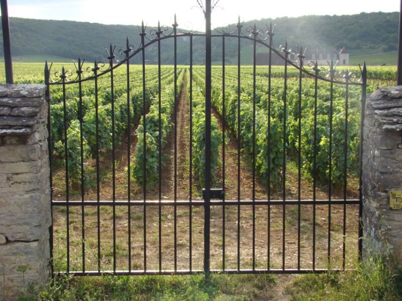 Albi, Cordés-sur-Ciel & Gaillac: Day Trip from Toulouse - Discovering Albi, Cordés-sur-Ciel & Gaillac: What You Need to Know