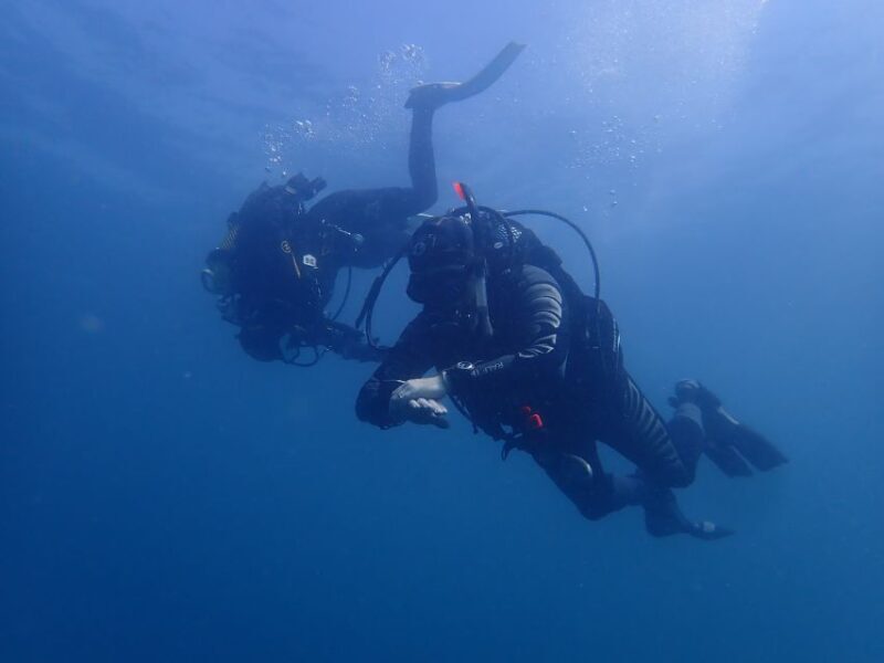 Albufeira: 2 DIVES TRIP (ONLY CERTIFIED DIVERS) - An Honest Breakdown of the Experience