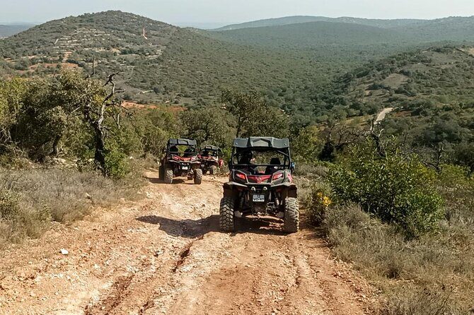 Albufeira 3 hour Off-Road Tour Buggy Adventure Tour - Who Should Consider This Tour?