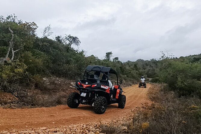 Albufeira 3 hour Off-Road Tour Buggy Adventure Tour - The Sum Up