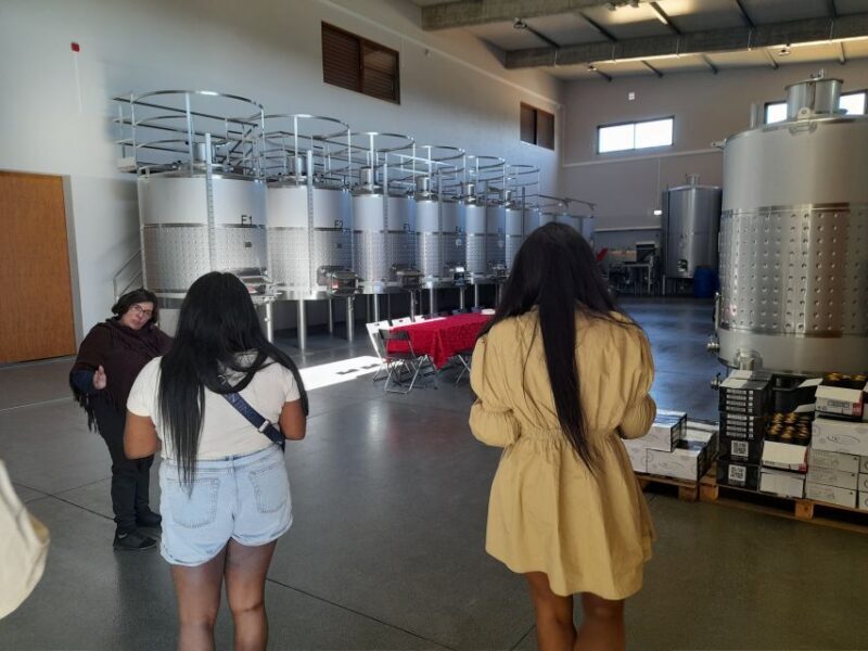 Albufeira: Algarve Coast Guided Tour with Wine Tasting - Exploring the Algarve Coast with a Guided Tour and Wine Tasting