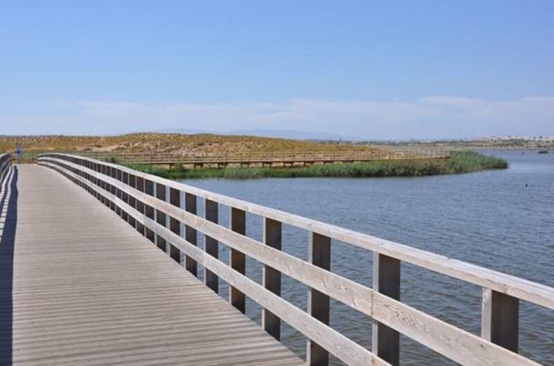 Albufeira: Beaches, Old Town, and Salgados Lagoon Jeep Tour - Final Thoughts