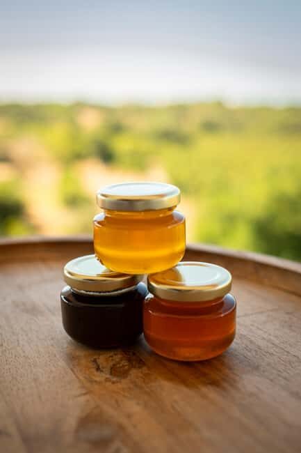 Albufeira: Beekeeping Experience with Honey Tasting - The Experience Itself: A More Detailed Look