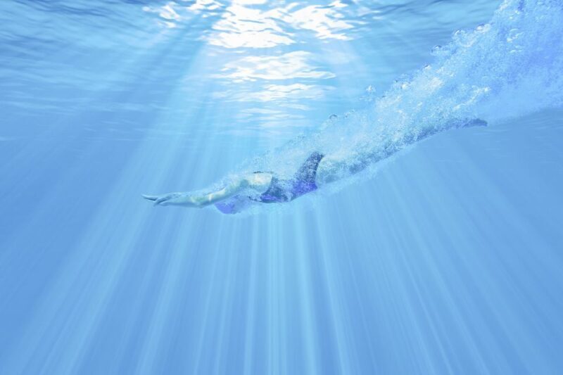 Albufeira: Benagil Caves & Dolphin Watching Speed Boat Tour - The Detailed Experience: What You Can Expect