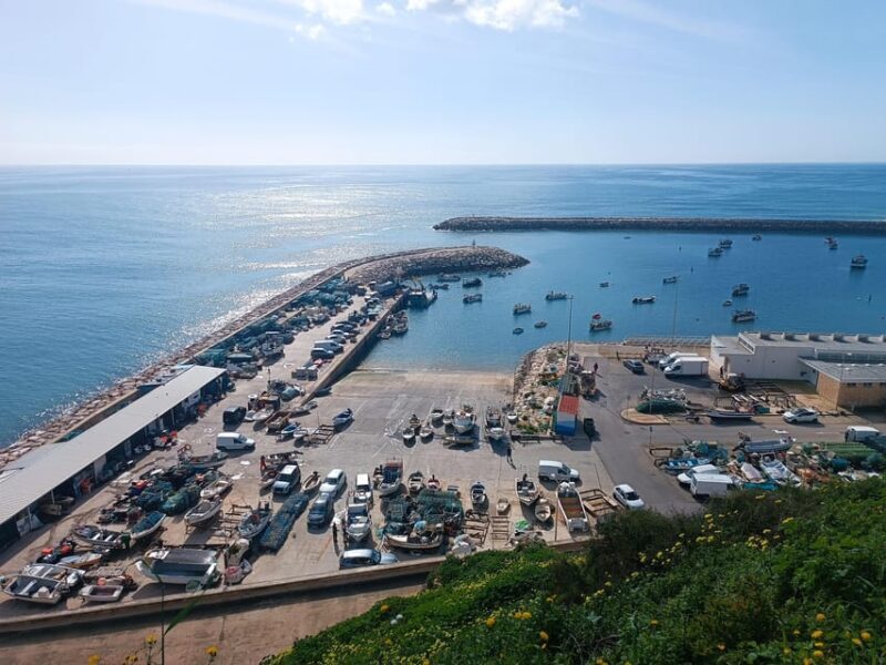 Albufeira: City Highlights & WINE TASTING - Authentic Experiences and Real Insights