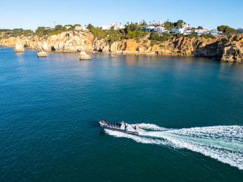 Albufeira: Dolphins & Benagil Caves RIB Boat - Key Points