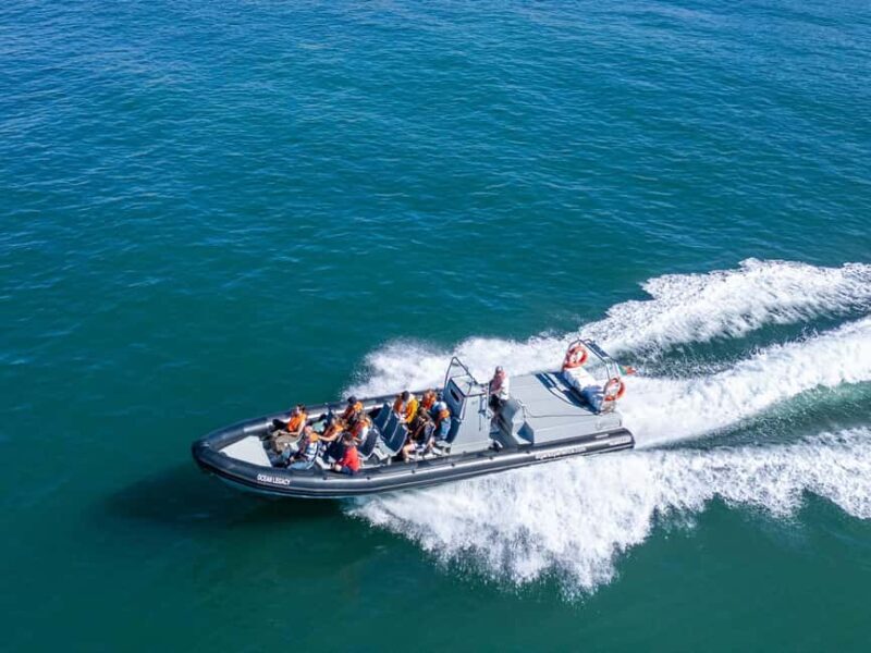Albufeira: Dolphins & Benagil Caves RIB Boat - What to Expect on the Tour
