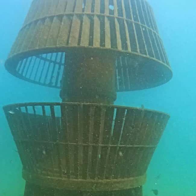 Albufeira: Double Ocean Dive for Certified Divers - What You Can Expect From This Tour