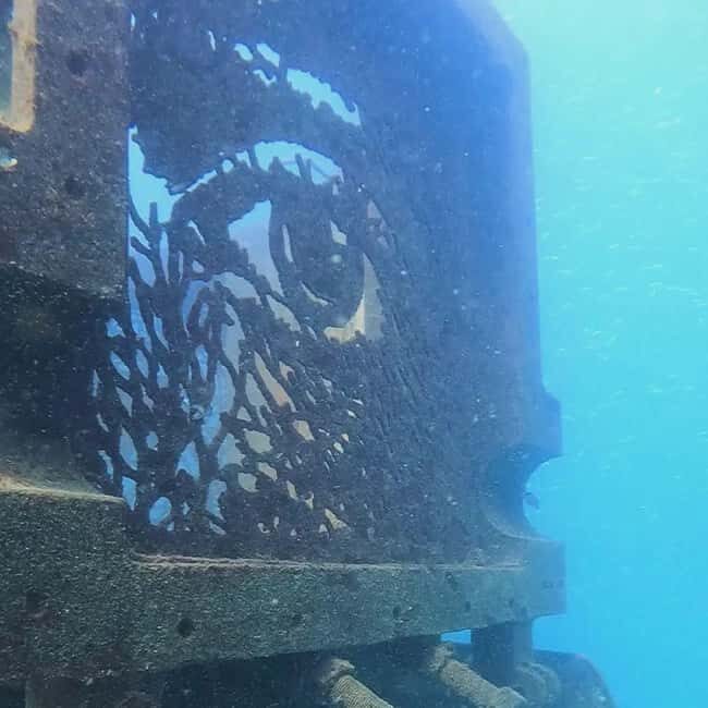 Albufeira: Double Ocean Dive for Certified Divers - The Logistics: Meeting and Timing