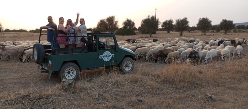Albufeira: Jeep Safari Half-Day Countryside Tour - The Practical Details: Is It Worth the Price?