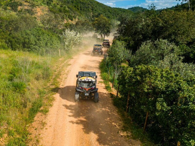 Albufeira: Off-Road Buggy Adventure - Who Should Consider This Tour?