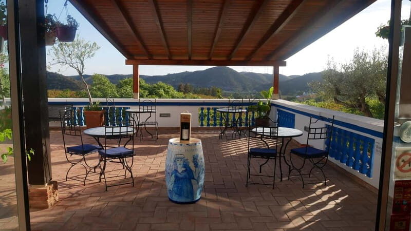 Albufeira, Olhão, Faro: Visit a vineyard, Free time in Silves - Key Points