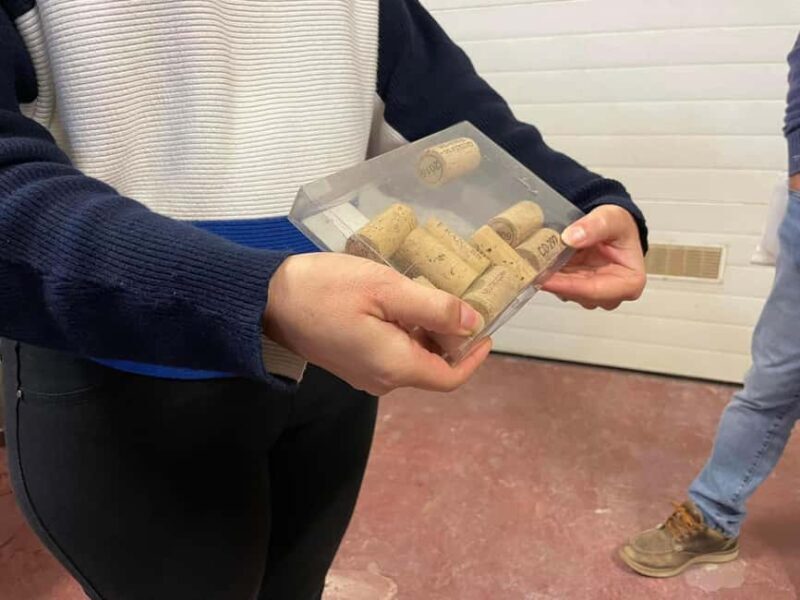 Albufeira, Olhão, Faro: Visit a vineyard, Free time in Silves - FAQs