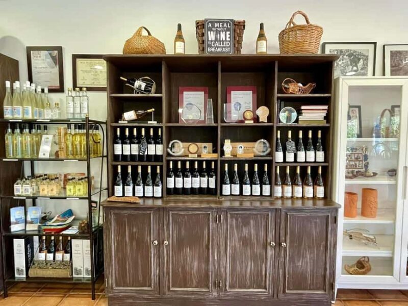 Albufeira, Olhão, Faro: Visit a vineyard, Free time in Silves - Final Thoughts