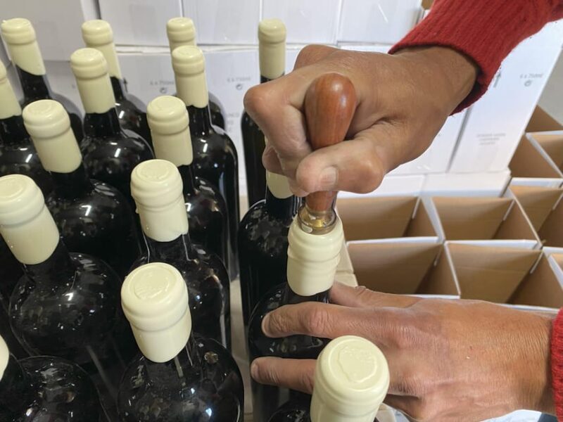 Albufeira/Porches/Vilamoura: Wine Tasting with Tapas & Music - The Experience in Detail