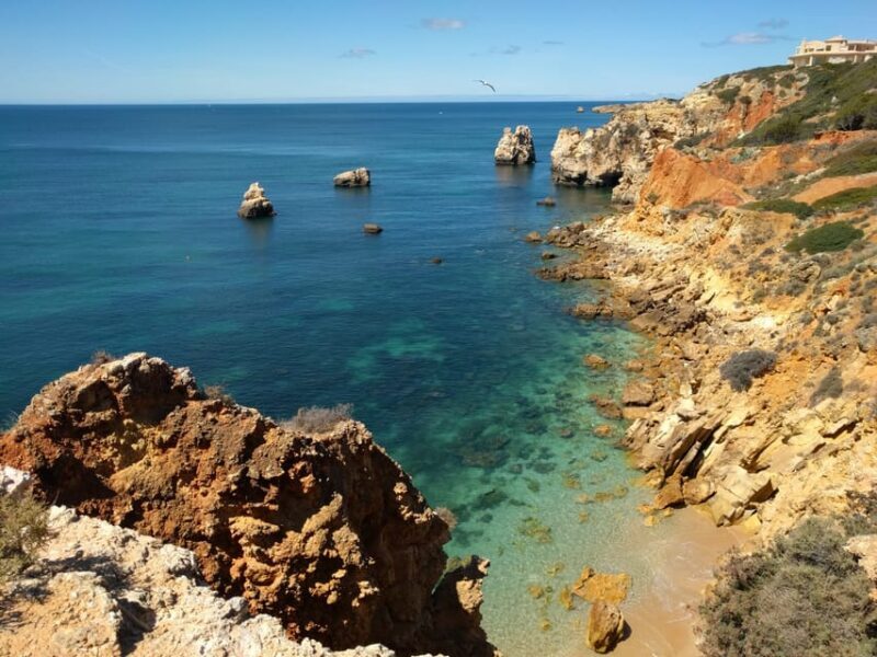 Albufeira Private Tours - The Experience’s Pros and Cons