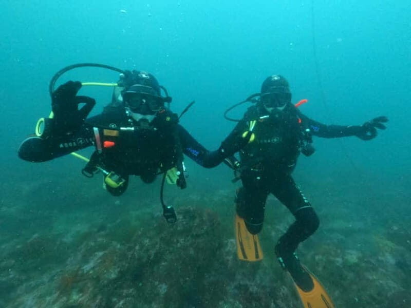 Albufeira: Scuba Diving Experience for Beginners - The Cost & Value