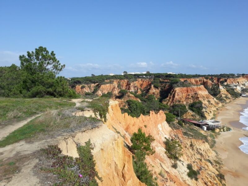 Albufeira: Tuk-tuk Sightseeing Tour - The Value for Money
