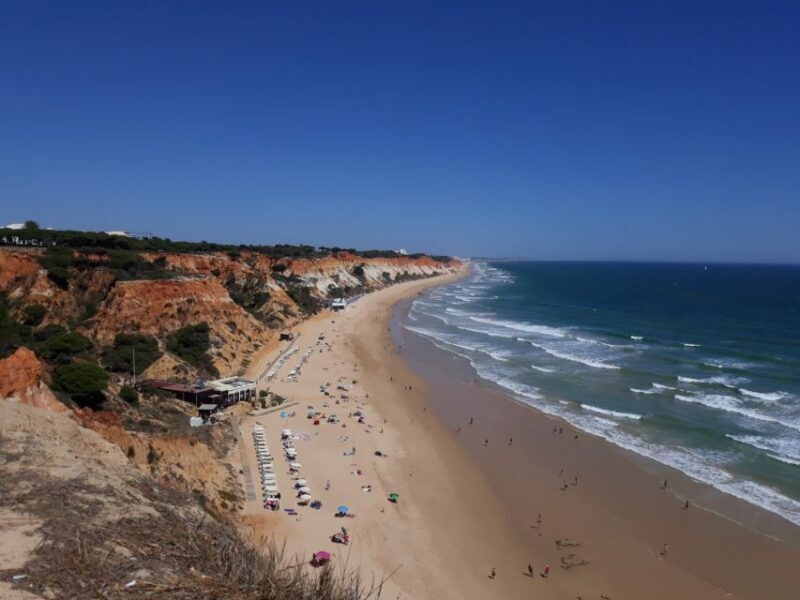 Albufeira: Tuk-tuk Sightseeing Tour - Who Should Consider This Tour?