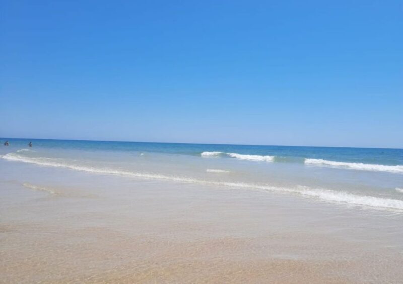 Albufeira - Visit Olhão & Culatra Island with lunch included - Final Thoughts