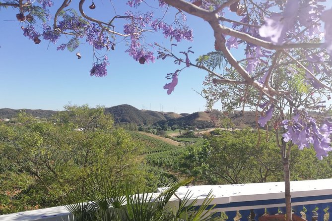 Albufeira Wine Tasting: Boutique Winery Tour & Historic Silves - The wine tasting: red, white, and rosé, plus possible extra pours