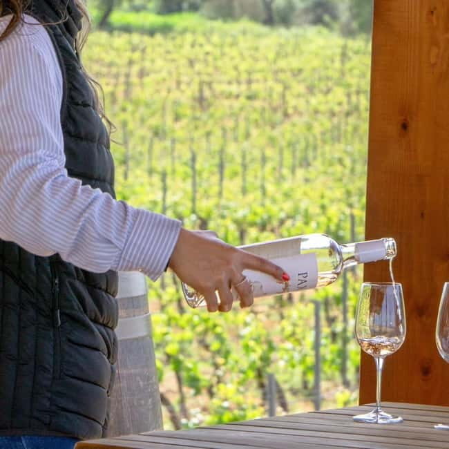 Albufeira: Wine Tasting Tour - 4H - FAQ