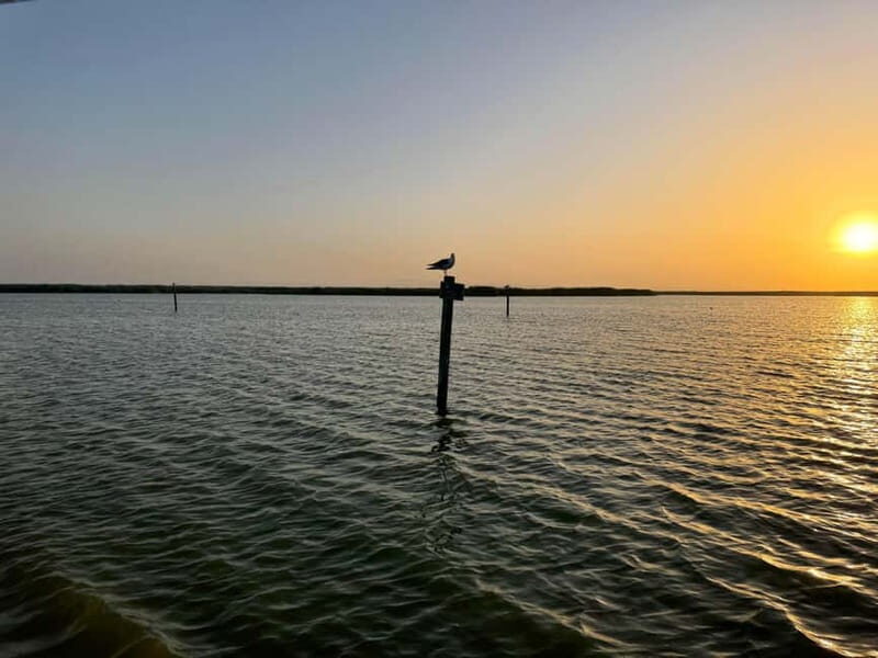 Albufera Bike Adventure: Wetlands, Beaches & Biodiversity - What to Expect from the Albufera Bike Adventure