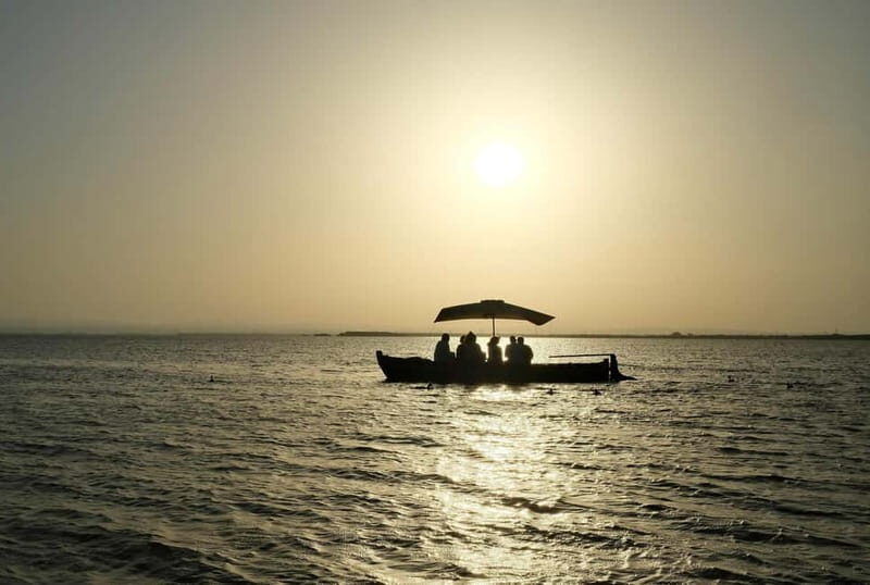 Albufera Bike Adventure: Wetlands, Beaches & Biodiversity - Practical Details and Why They Matter