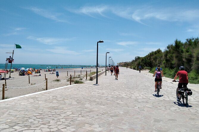 Albufera Highlights Loop Bike Tour with Boat Trip & Paella - What to Expect from the Tour