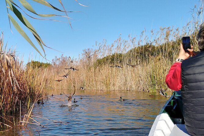 Albufera Highlights Loop Bike Tour with Boat Trip & Paella - Drawbacks and Considerations
