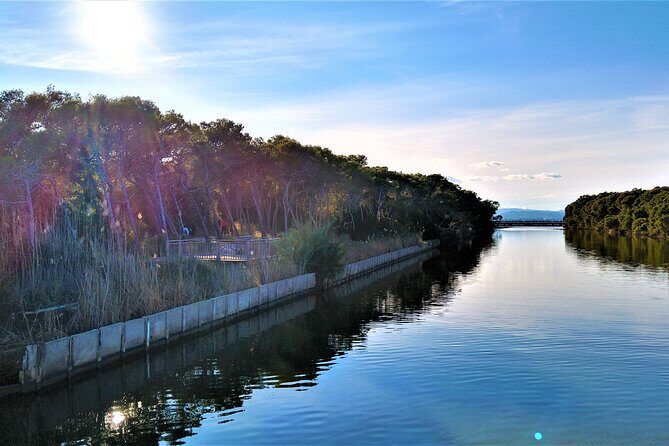 Albufera Highlights Loop Bike Tour with Boat Trip & Paella - Who Is This Tour Best For?