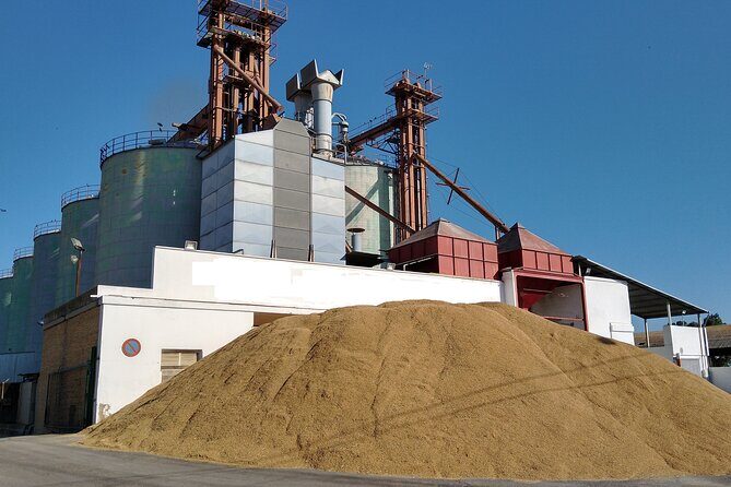 Albufera Highlights Loop Bike Tour with Boat Trip & Paella - FAQs