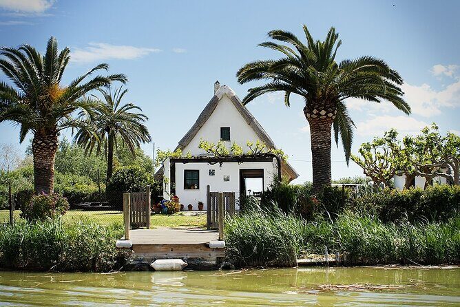 Albufera Natural Park with a Boat Tour from Valencia - FAQ: Practical Questions About the Tour
