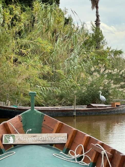 Albufera Valencia: Guided electric boat ride, also at sunset - Key Points