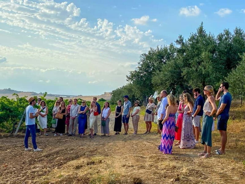 Alcamo: Natural Wine & Olive Oil Tasting - Sicily - Key Points