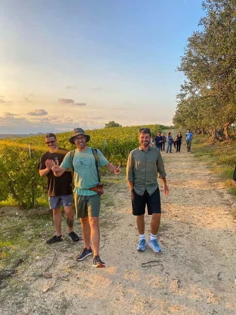 Alcamo: Natural Wine & Olive Oil Tasting - Sicily - A Closer Look at What’s Included