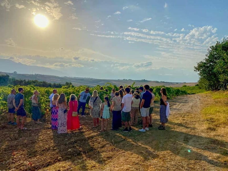 Alcamo: Natural Wine & Olive Oil Tasting - Sicily - FAQs