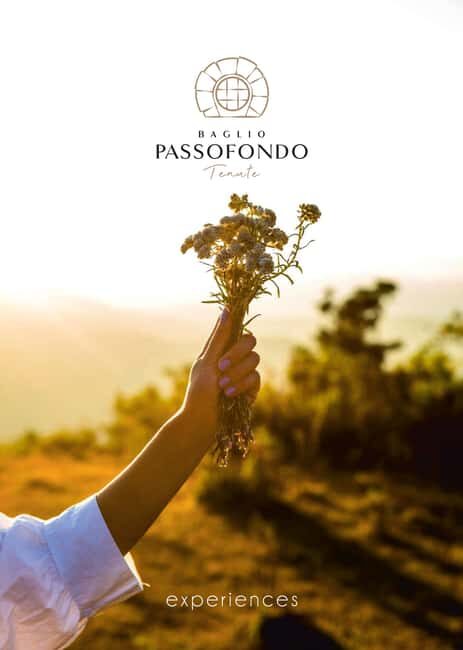 Alcamo: Wine Tasting, 5 Tenute Baglio Passofondo labels - Who Will Love This Tour?