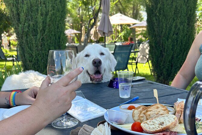 Alcantara Estate Vineyards Tasting Experience - Key Points