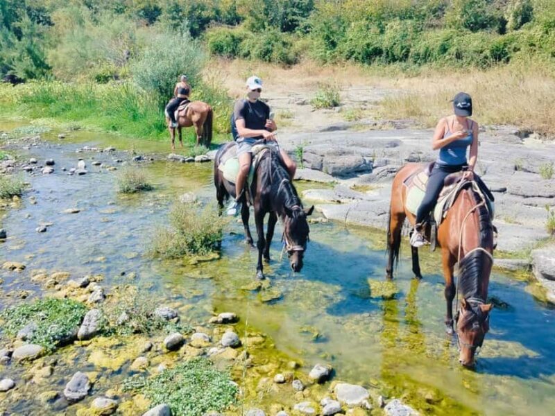 Alcantara: Horseback riding through gorges, Byzantine Cuba, and nature - Key Points
