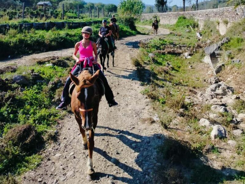 Alcantara: Horseback riding through gorges, Byzantine Cuba, and nature - Discovering Sicily on Horseback: What to Expect