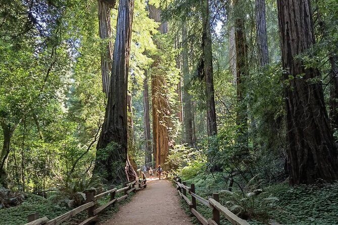 Alcatraz Night Tour & Muir Woods-Sausalito Afternoon or Morning - Practical Details and Tips
