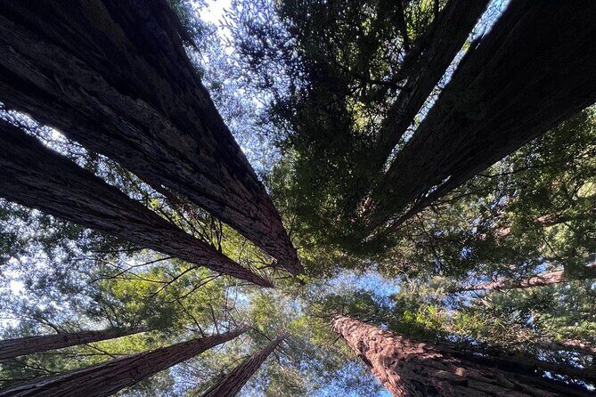 Alcatraz Night Tour & Muir Woods-Sausalito Afternoon or Morning - FAQs