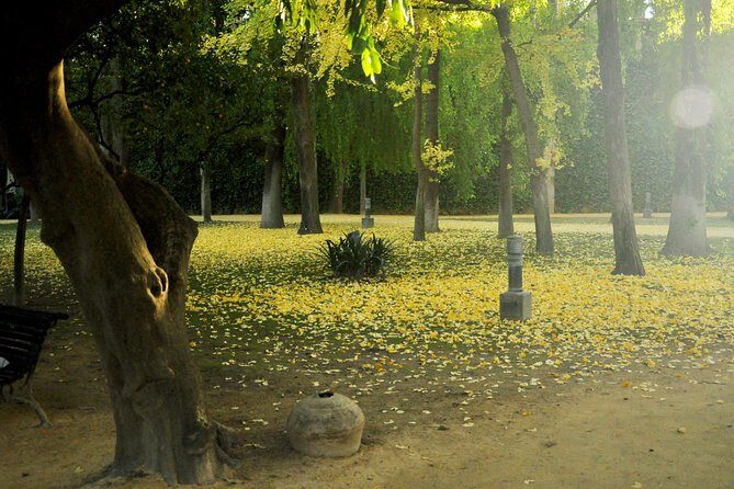 Alcazar and Cathedral Combo Tour - Exploring the Cathedral of Seville