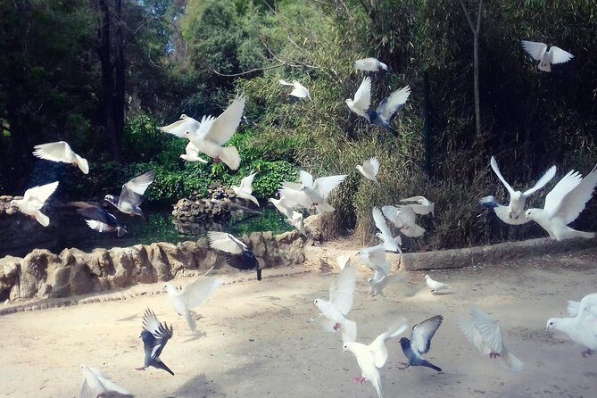 Alcazar, Cathedral, Plaza De España And Maria Luisa Park Private Tour - What Sets This Tour Apart